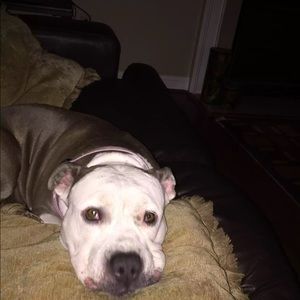 Meet your Posher, Rhetta